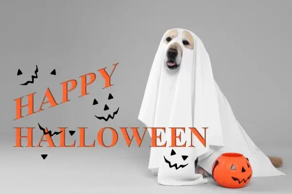 Happy Halloween from Prime Rate Home Mortgage, LLC.